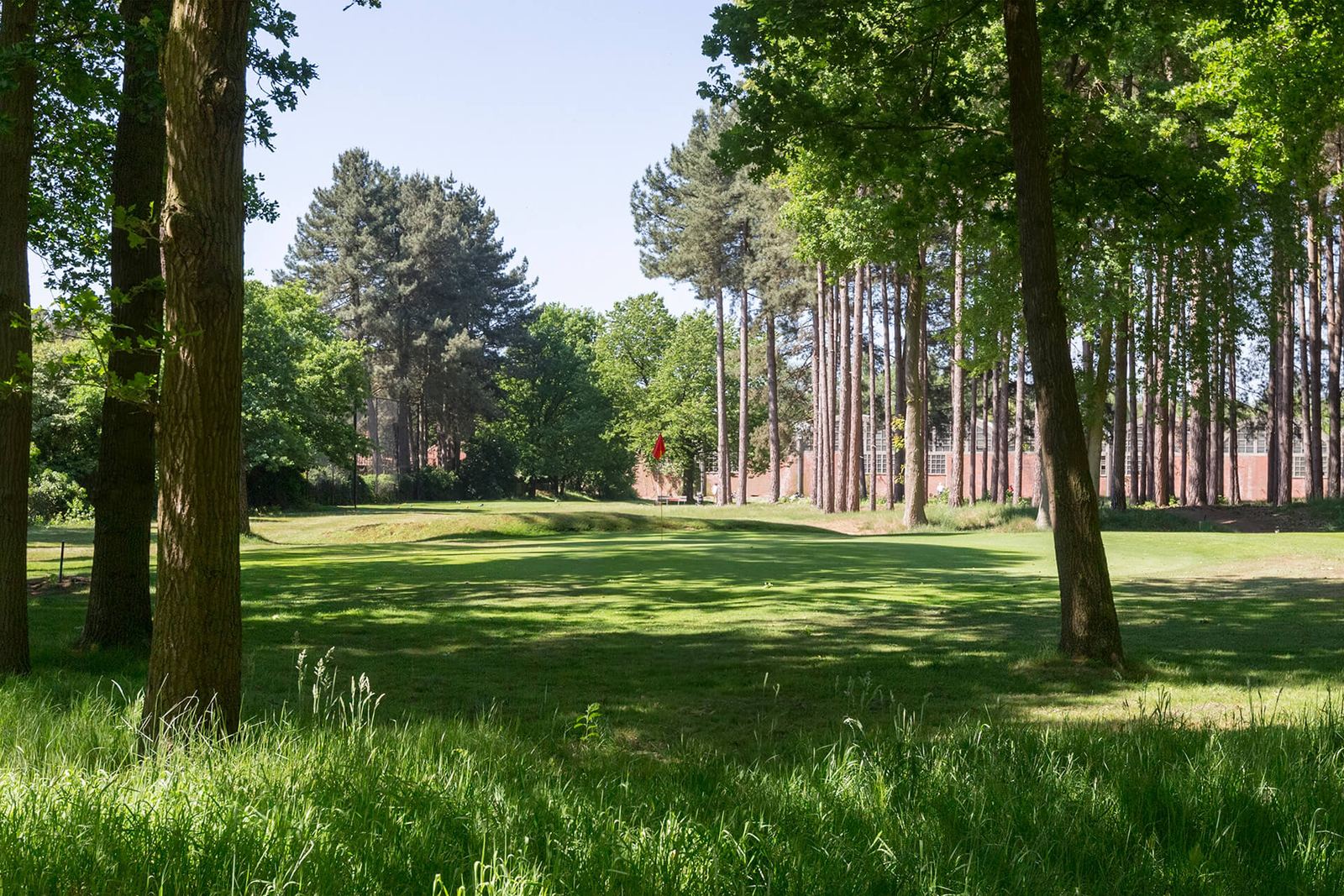 De baan van Golfclub Witbos